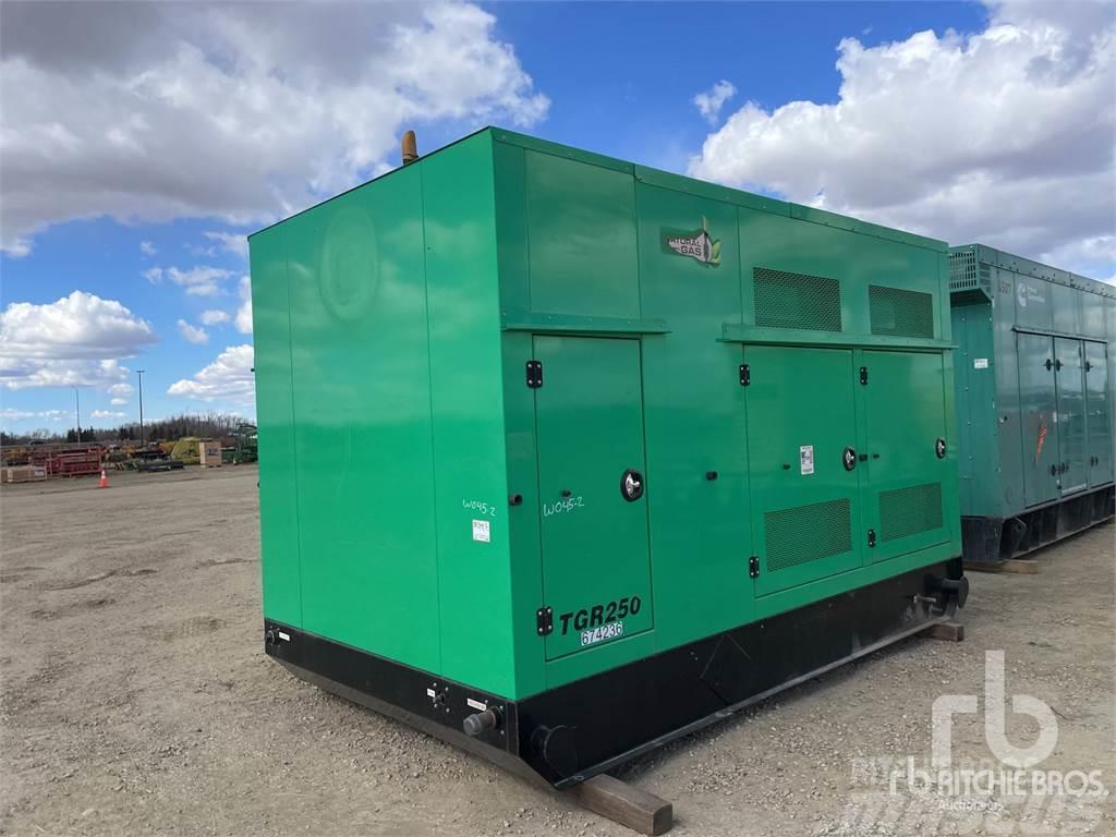 Taylor HC1434D Diesel Generators