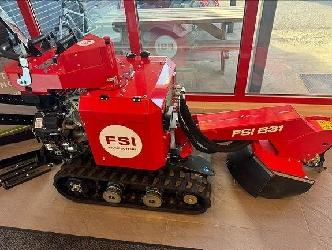 FSI B31
