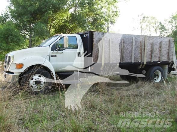 Ford F650 SD Platformas/izkraušana no sāniem