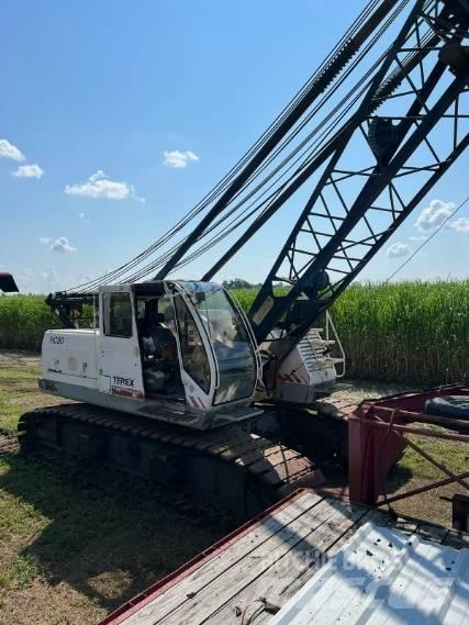 Terex HC 80 Kāpurķēžu ceļamkrāni