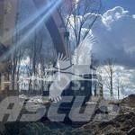 CAT 349EL Kāpurķēžu ekskavatori