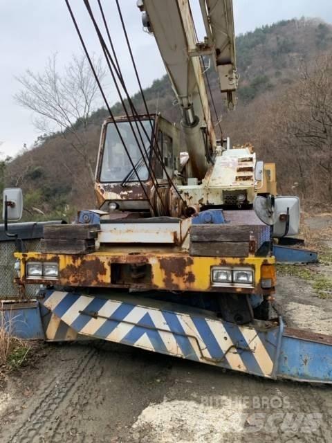 Tadano TR250M-4 Celtņi nelīdzenām virsmām