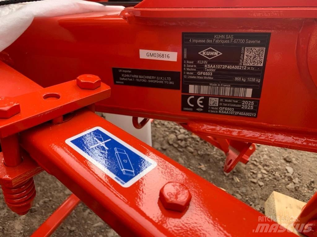 Kuhn GF6503 TEDDER Grābekļi un siena ārdītāji