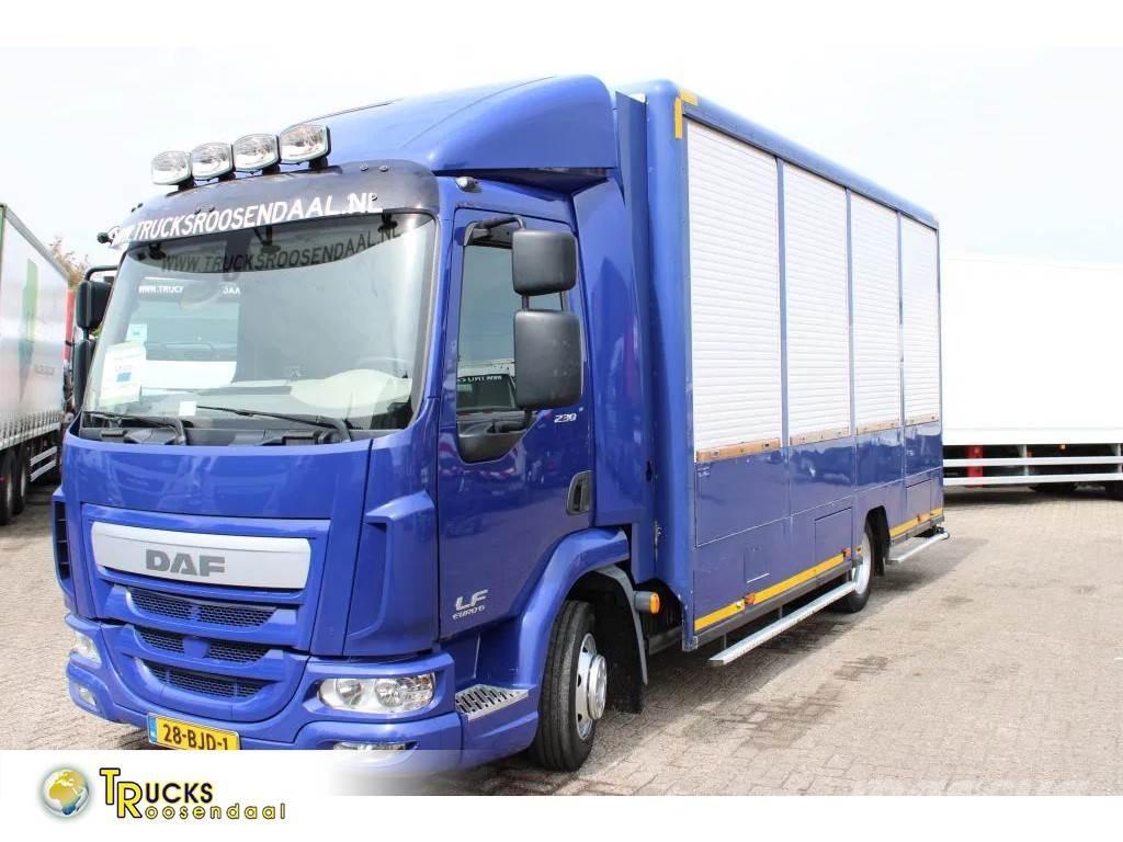 DAF LF 230 + EURO 6 Furgons