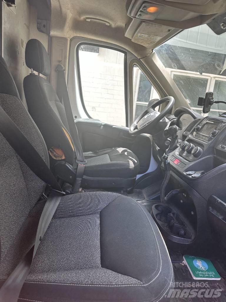 Dodge promaster Furgons
