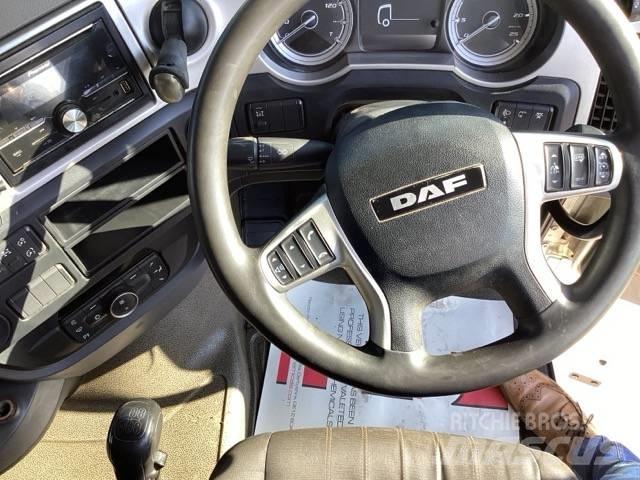 DAF XF 480 Vilcēji