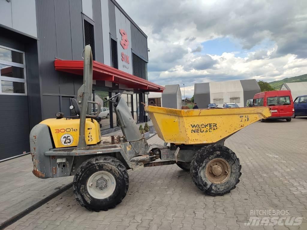 Wacker Neuson 3001 s Mini pašizgāzēji