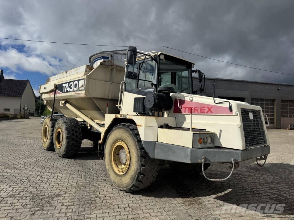 Terex TA 30 Artikulētie pašizgāzēji