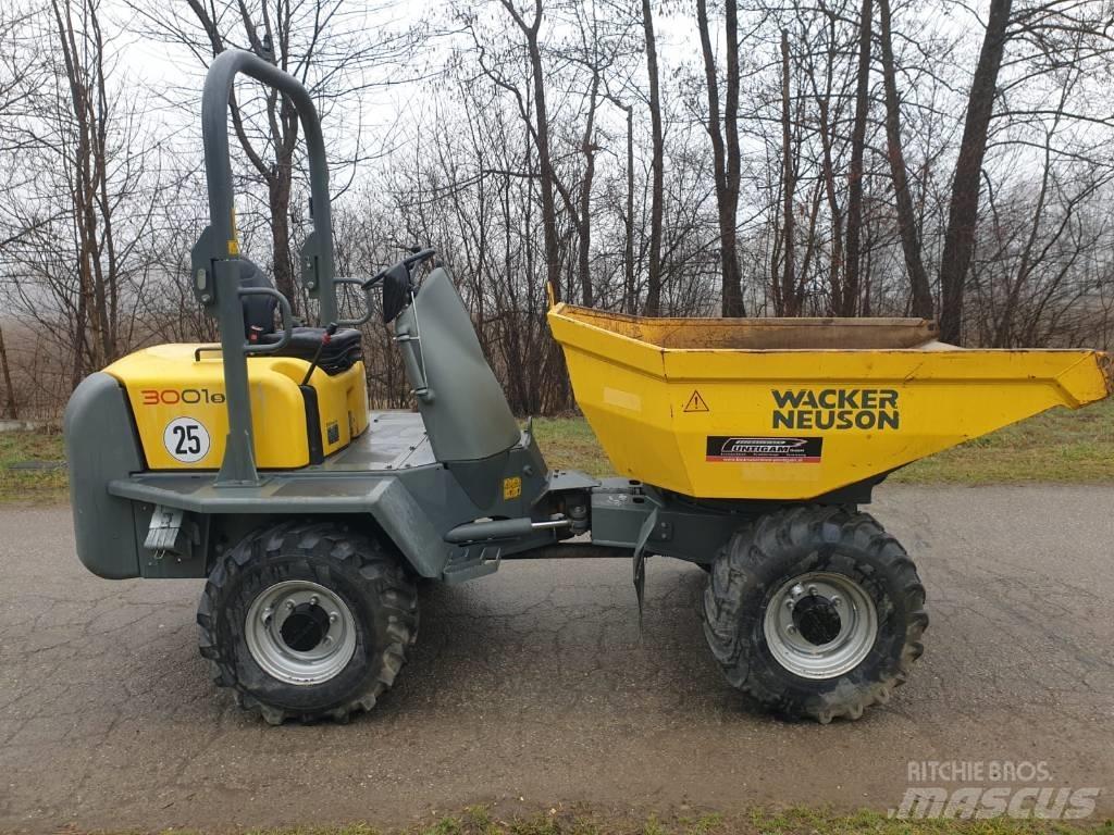 Wacker Neuson 3001 Mini pašizgāzēji