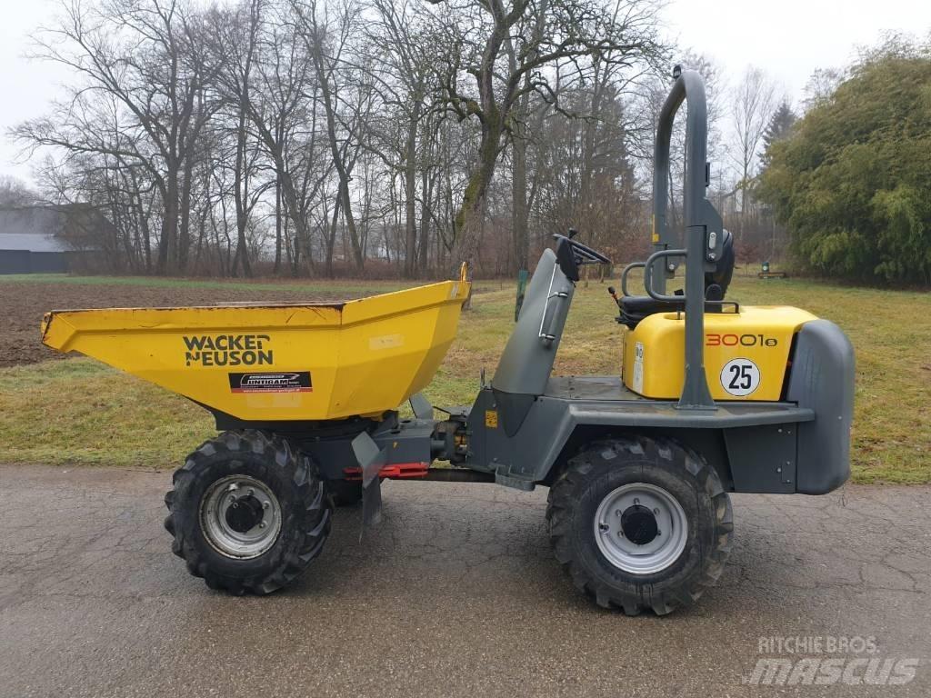 Wacker Neuson 3001 Mini pašizgāzēji