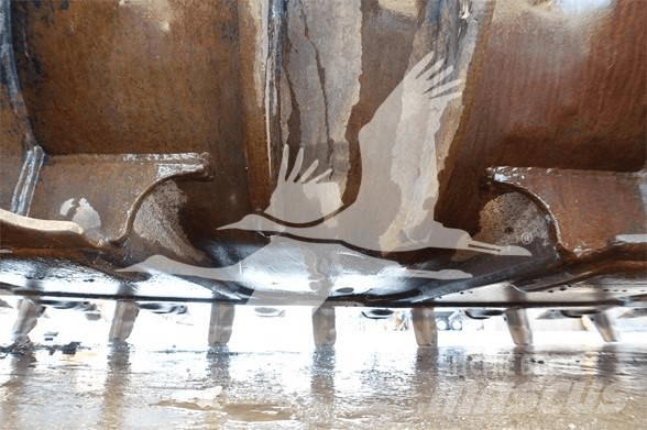 CAT TB LINKAGE Kausi