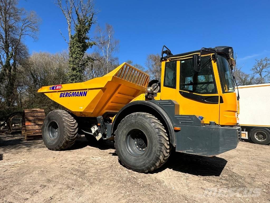 Bergmann C815S Artikulētie pašizgāzēji