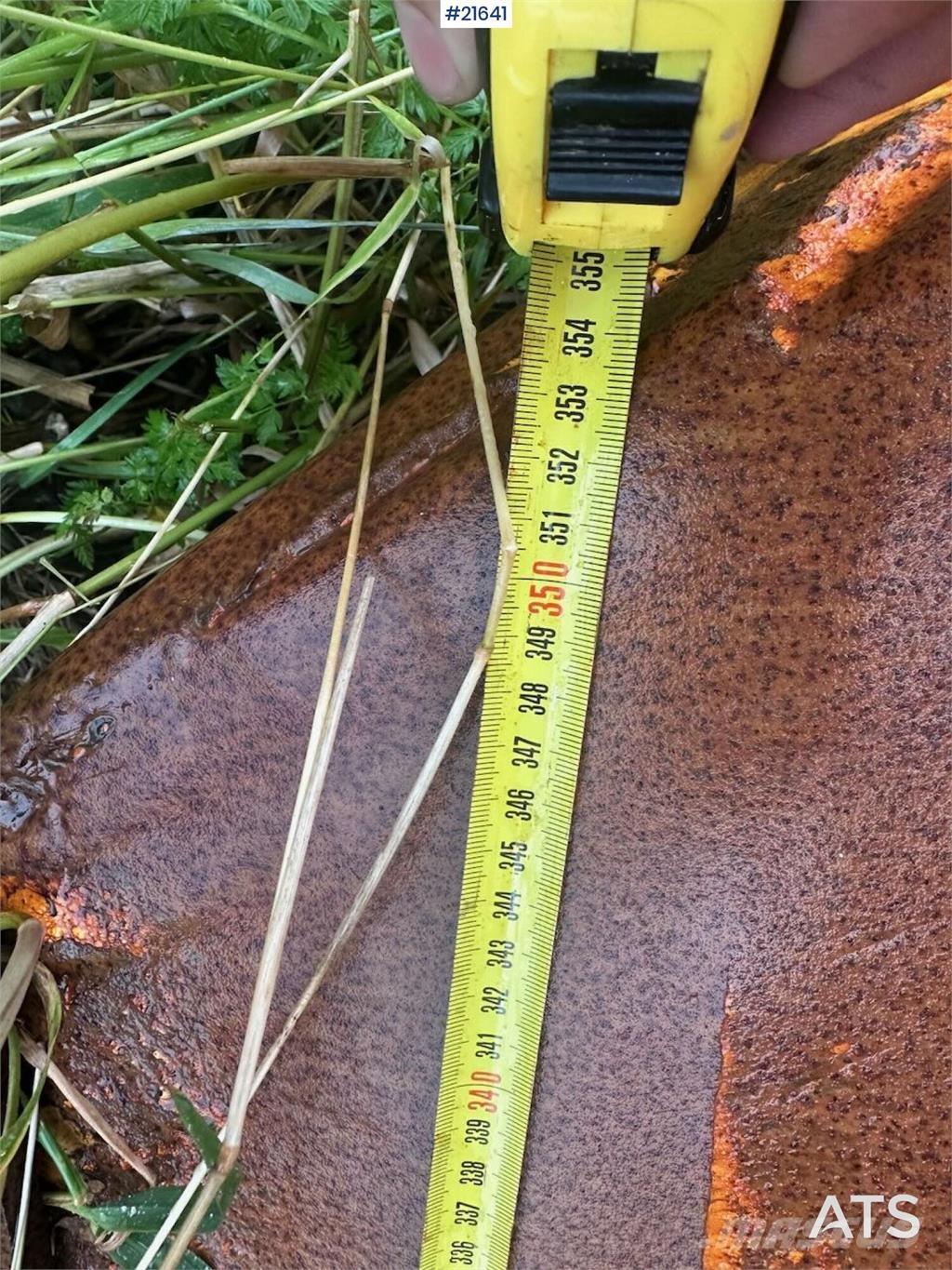  Gmill HDA 265 plow. Transports- Citi