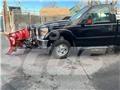 Ford F 350 Platformas/izkraušana no sāniem