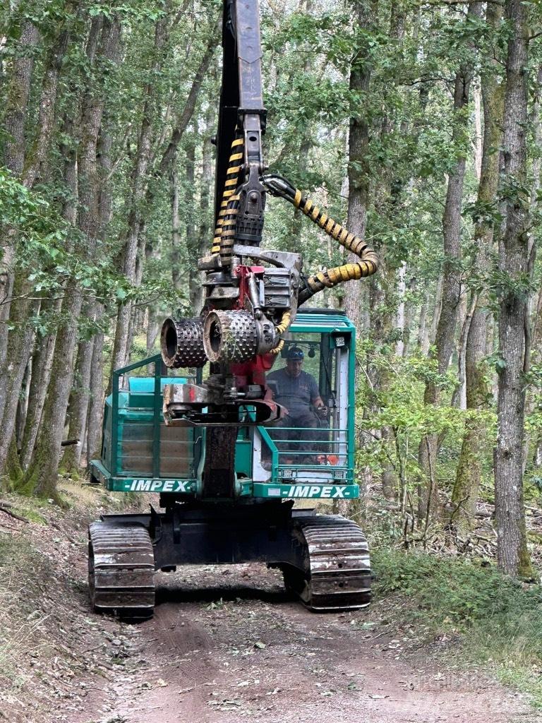 Impex Königstiger Harvesteri