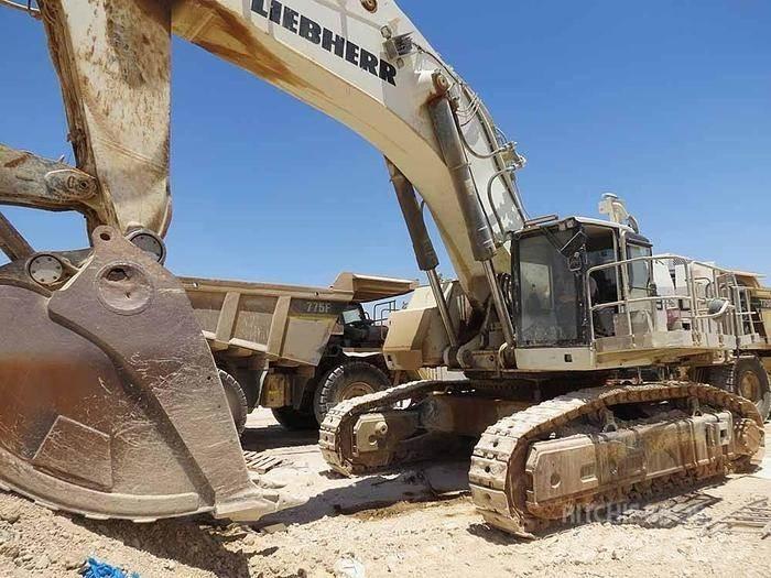 Liebherr R9150 Īpašie ekskavatori