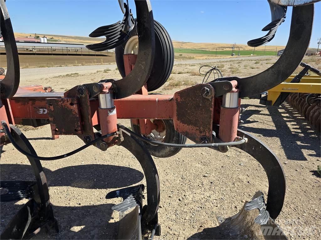 Ace 5 Bottom Parastie arkli