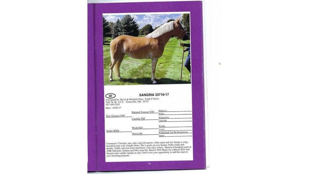  8 YO Chestnut Mare Cits lopkopības aprīkojums
