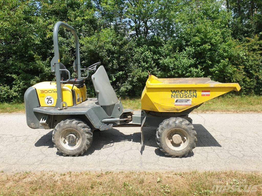 Wacker Neuson 3001 Mini pašizgāzēji