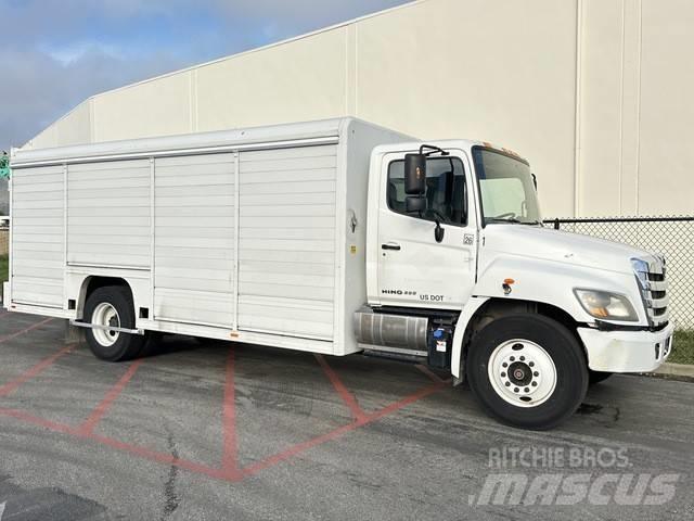 Hino 338 Dzērienu piegāds kravas mašīnas