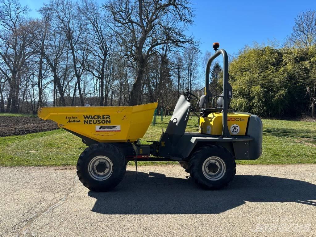 Wacker Neuson 3001 Mini pašizgāzēji