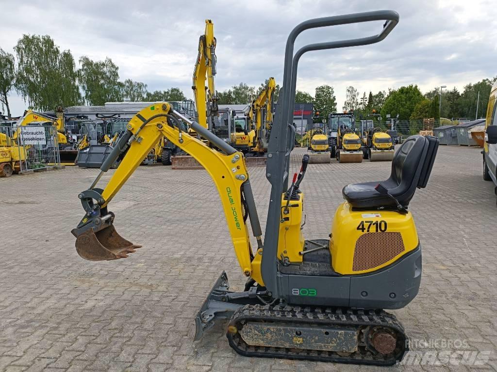 Wacker Neuson 803 Kāpurķēžu ekskavatori