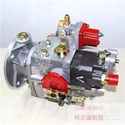 Cummins 4951451-20 Dzinēji