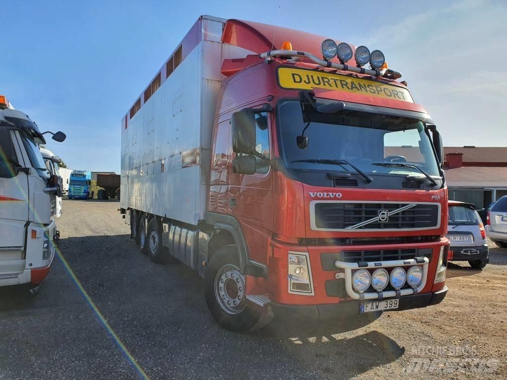 Volvo FM12 Dzīvnieku pārvadāšanas transports