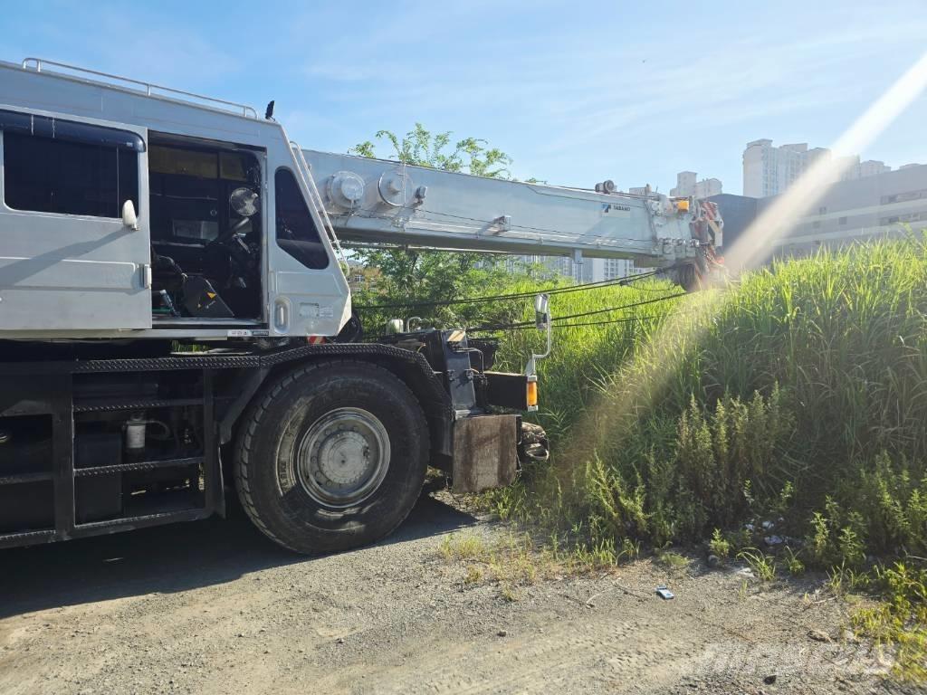 Tadano TR 250 M-5 Celtņi nelīdzenām virsmām
