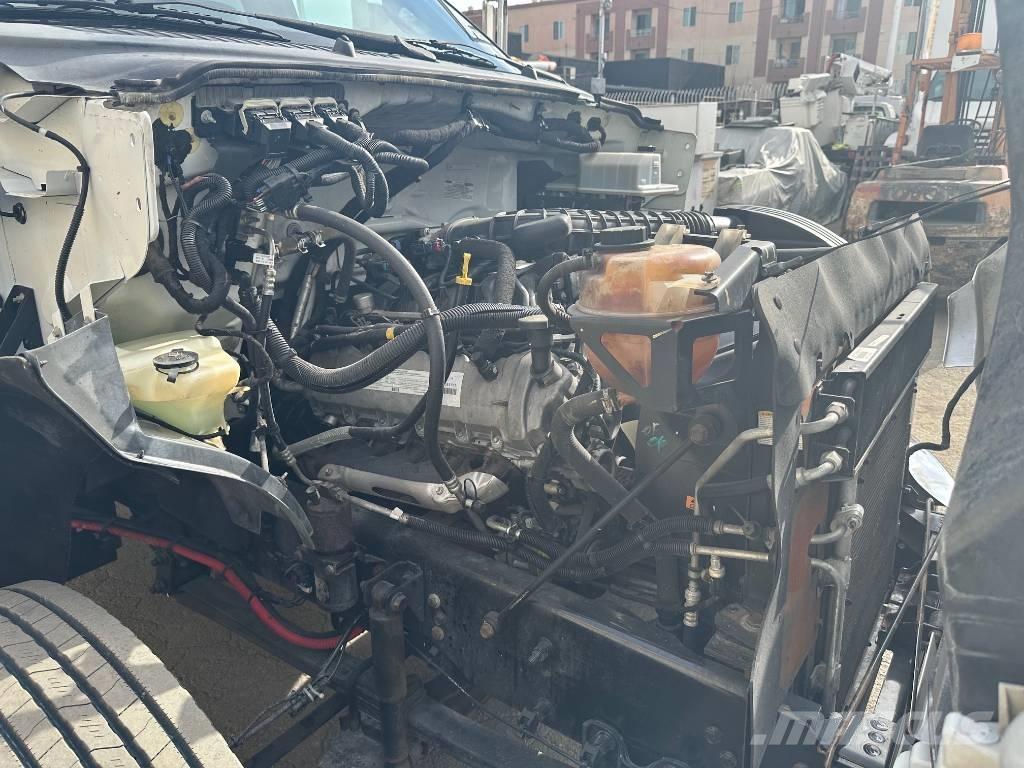 Ford F 650 SD Koka skaidu vedēji