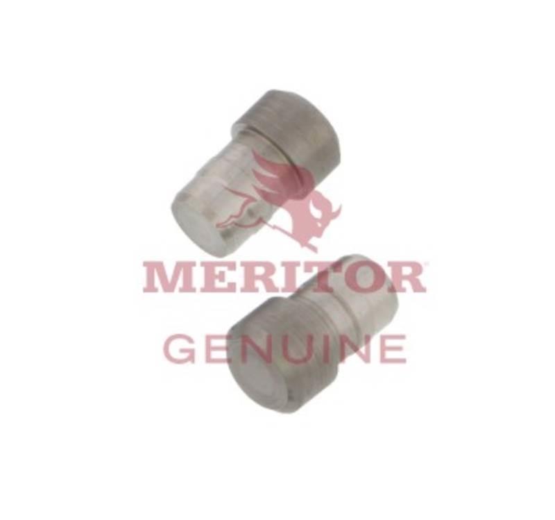 Meritor  Asis