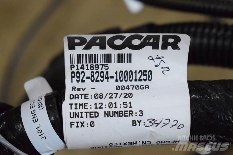 Paccar  Transports- Citi