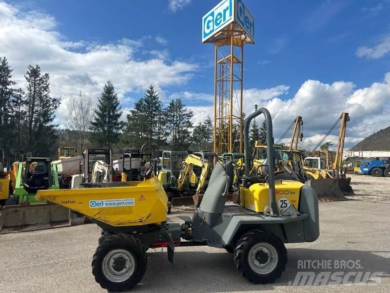 Neuson 3001 Mini pašizgāzēji