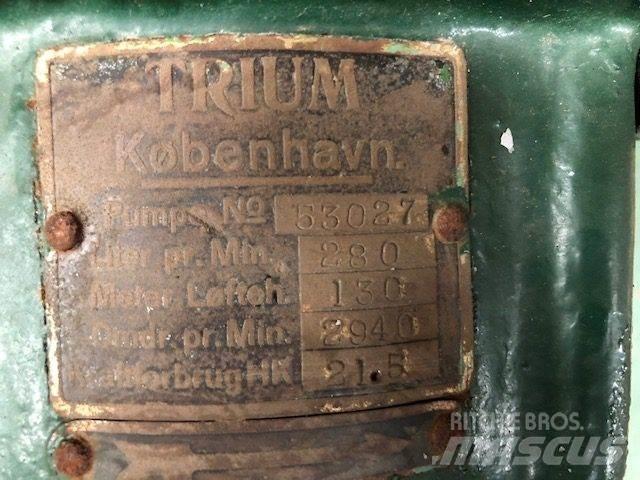  TRIUM QZKS Vandpumpe Ūdens sūkņi