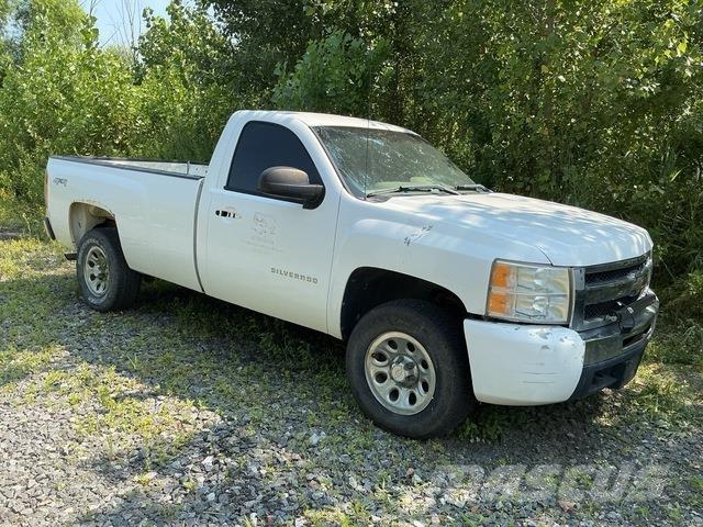 Chevrolet 1500 Vieglais kravas automobilis/izkraušana no sāniem