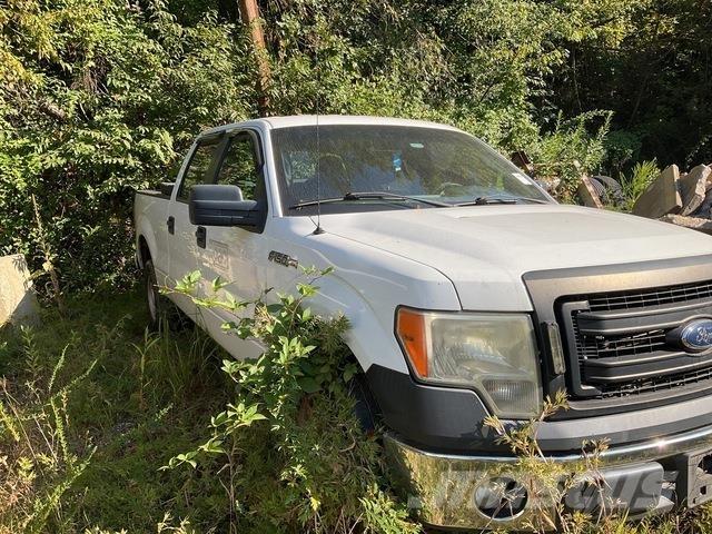 Ford F-150 Vieglais kravas automobilis/izkraušana no sāniem