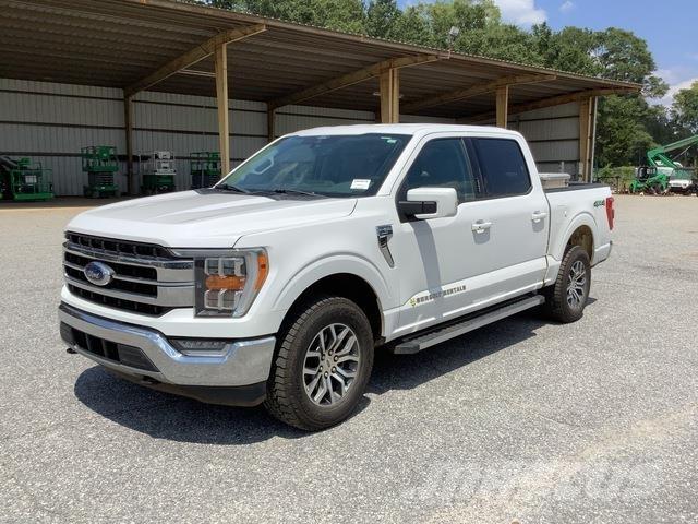 Ford F-150 Vieglais kravas automobilis/izkraušana no sāniem