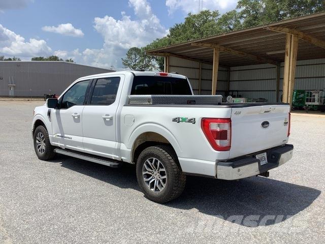 Ford F-150 Vieglais kravas automobilis/izkraušana no sāniem