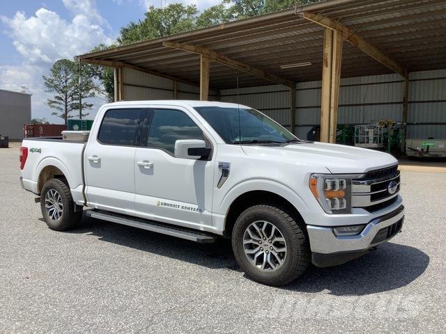 Ford F-150 Vieglais kravas automobilis/izkraušana no sāniem