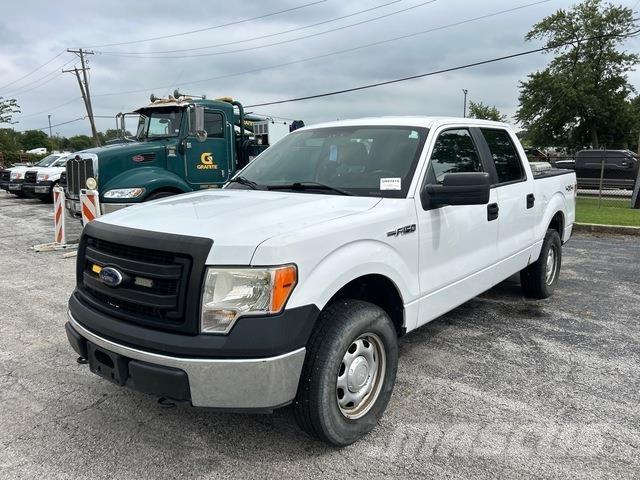 Ford F-150 Vieglais kravas automobilis/izkraušana no sāniem
