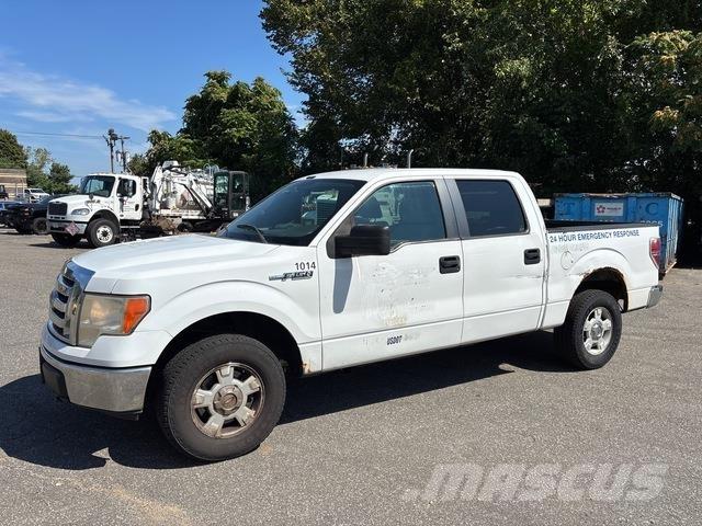Ford F-150 Vieglais kravas automobilis/izkraušana no sāniem