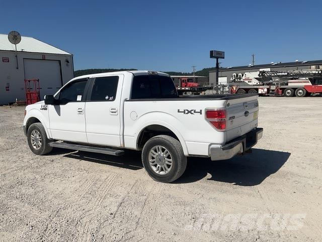 Ford F-150 Vieglais kravas automobilis/izkraušana no sāniem