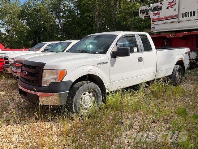 Ford F-150 Vieglais kravas automobilis/izkraušana no sāniem