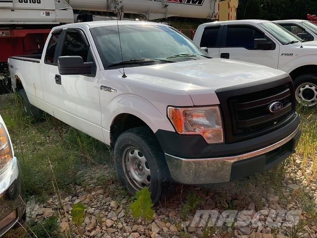 Ford F-150 Vieglais kravas automobilis/izkraušana no sāniem