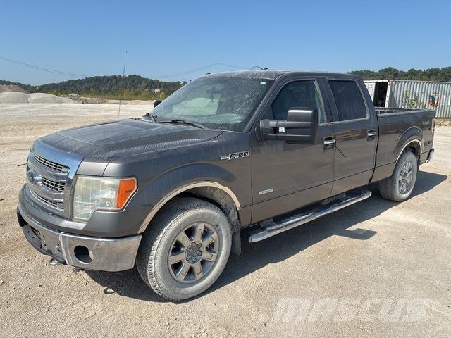 Ford F-150 Vieglais kravas automobilis/izkraušana no sāniem