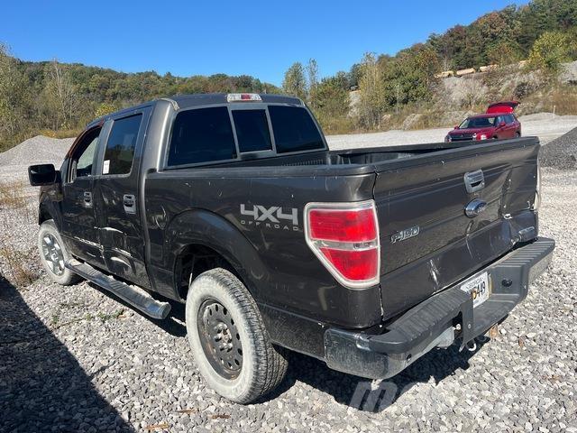 Ford F-150 Vieglais kravas automobilis/izkraušana no sāniem