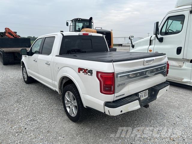 Ford F-150 Vieglais kravas automobilis/izkraušana no sāniem