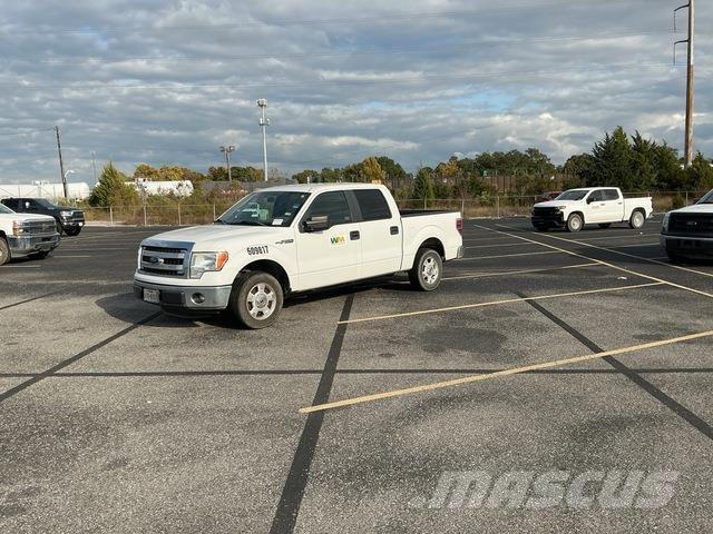 Ford F-150 Vieglais kravas automobilis/izkraušana no sāniem