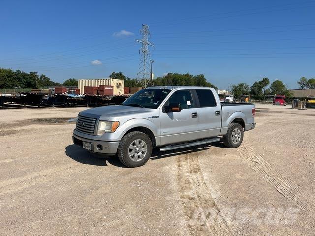 Ford F150 Vieglais kravas automobilis/izkraušana no sāniem