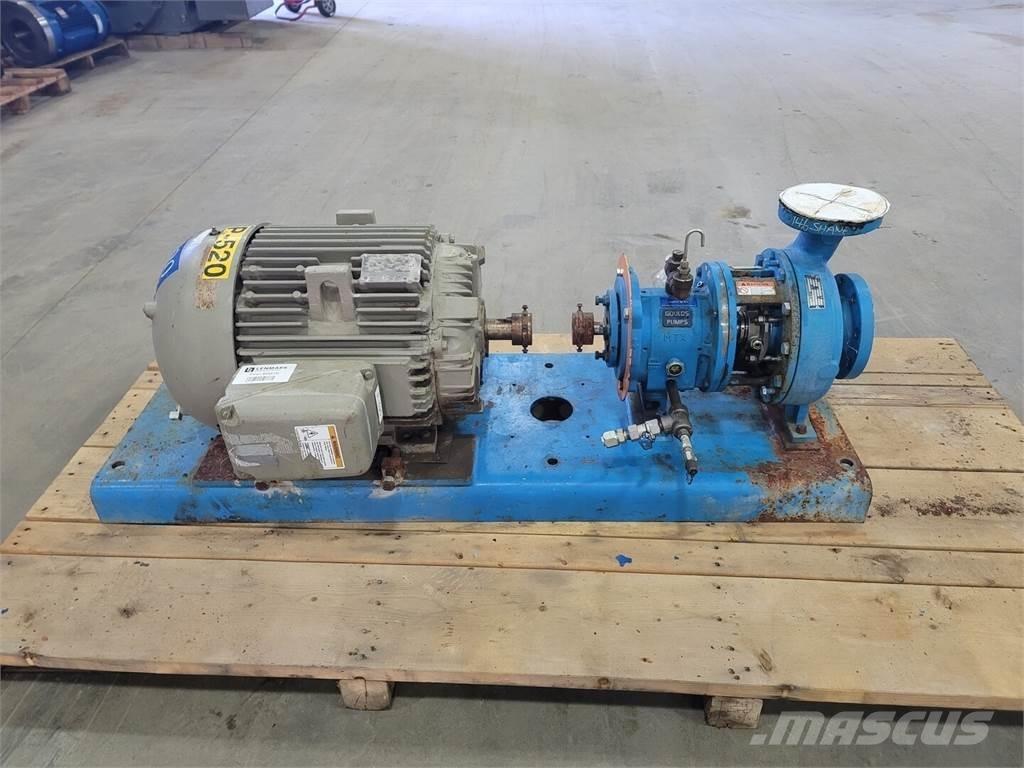  GOULD 3196 Ūdens sūkņi